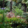 The tropical border at Oldway Mansion.