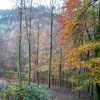 Quantock Hills