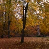Early one autumn morning