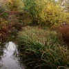 Winter colour