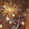 Christmas Time