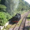 Dean Forest Tank Engine