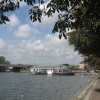 Radipole Lake's South End