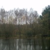Lakeside scene