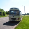 Bamfurlong Greyhound