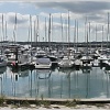 Masts in the Marina