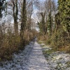 Winter walk