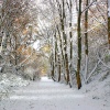 Stour Valley Winter, Shillingstone.