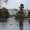 A view of Buckingham Palace from St James Park