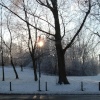 Snowy, sunny afternoon in Royton