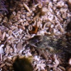 Aquarium at the Eden Project