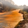 Golden Canal