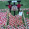 Field of Remembrance, Westminster Abbey