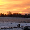 Jeskyns Park at Dawn