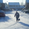 Snow Days