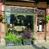 The Old Pine Shop
