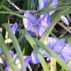 First signs of spring