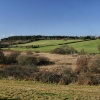 Arne RSPB Reserve.