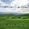 The countryside