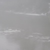 Ice flows on the River Severn