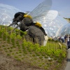 Eden Project