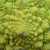 It's a, what is it?