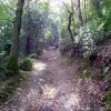 Punchbowl