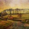 Country Lanes, Croome, Sledmere East Yorkshire.