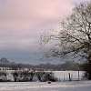 Snowy Morning