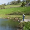 Fly Fisherman