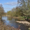 River Otter