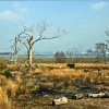 Arne RSPB Reserve