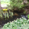 Pembroke College Gardens