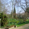 Pembroke College Gardens