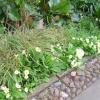Pembroke College Gardens