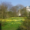 Pembroke College Gardens
