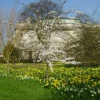 Peterhouse College Gardens