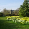 Peterhouse College Gardens