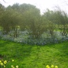 Peterhouse College Gardens