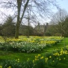 Peterhouse College Gardens