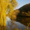 Autumn on the River Wye