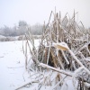 Cold in December