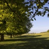 Beverley Westwood