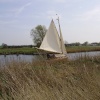 Sailing in the marshes
