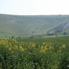Long Man