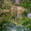Cambridge - Botanical Gardens - April 2011