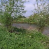 The River Dove