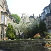 Buxton homes