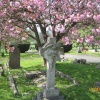 Graveyard in Duffield