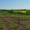 Horninghold